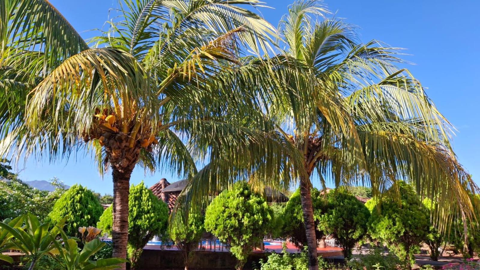Hotel Jardin Garden De Granada Nicaragua Екстер'єр фото