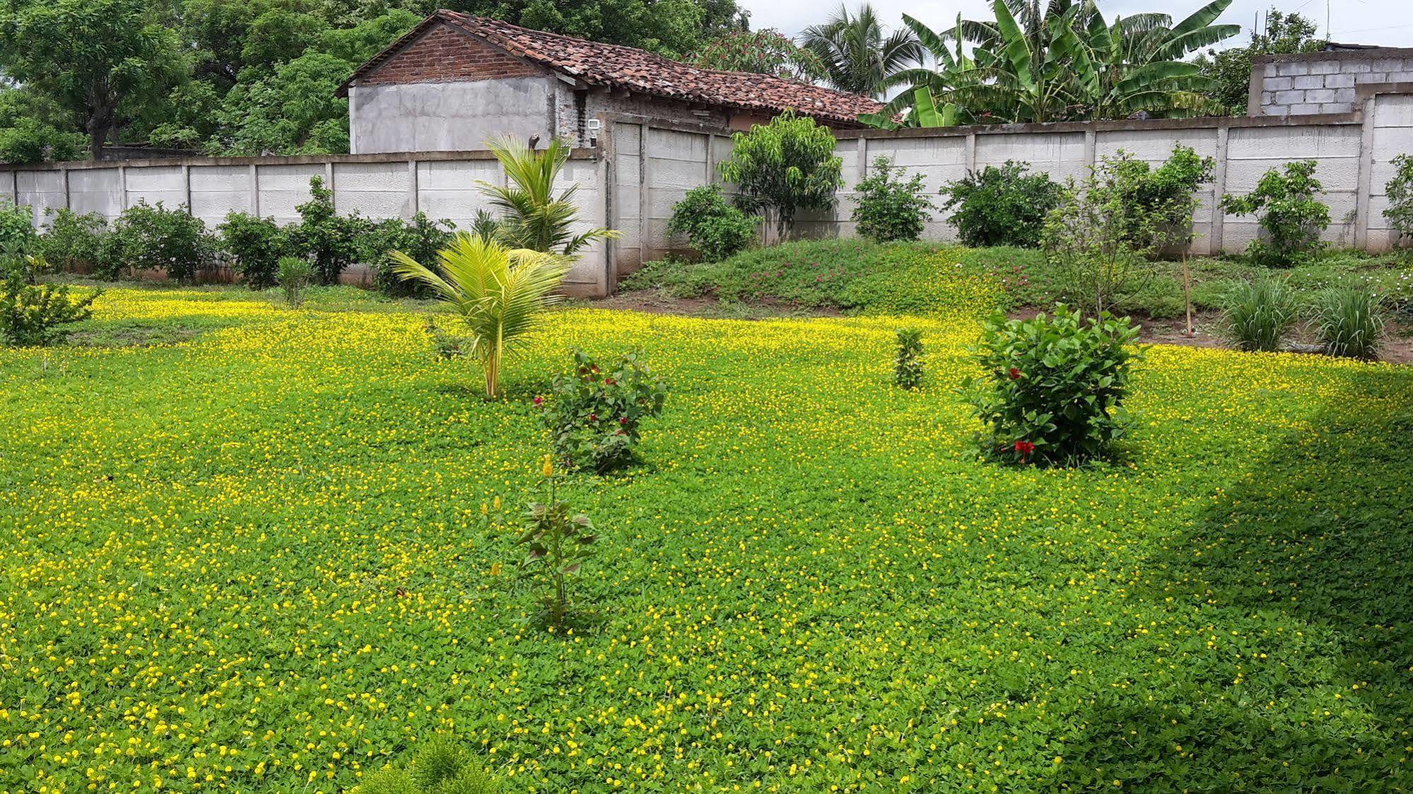 Hotel Jardin Garden De Granada Nicaragua Екстер'єр фото